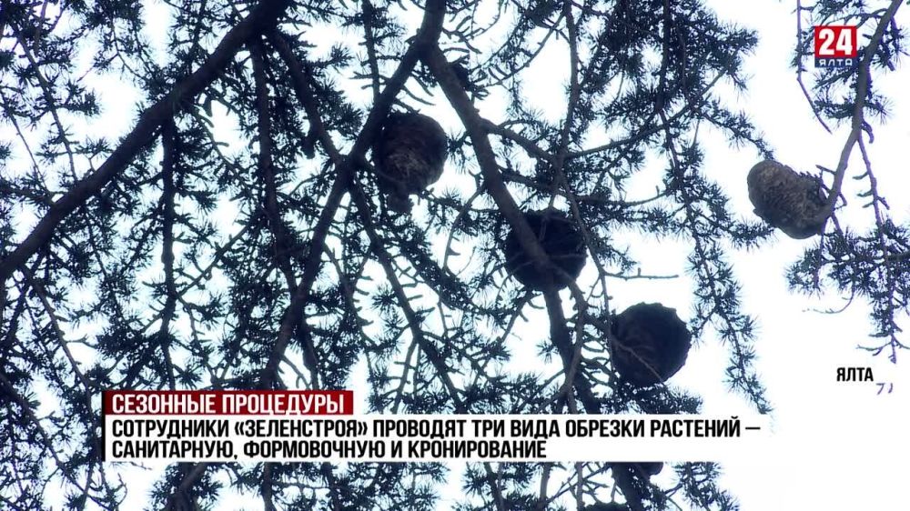 работа на гурзуфской. ул гурзуфская 47. гурзуфская 40 екатеринбург. гурзуфская 9 екатеринбург. гурзуфская 12 екатеринбург.