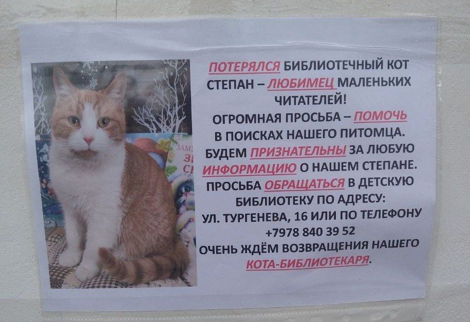 Кот стал очень ласковым. Нежные котята. Коты обнимаются. Котики обнимаются. Зачем котам хвост.