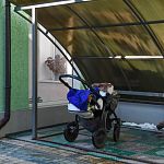 Когда ждать пика заболеваемости гриппом и ОРВИ: стоит ли сейчас прививаться Когда ждать пика заболеваемости гриппом и ОРВИ: стоит ли сейчас прививаться