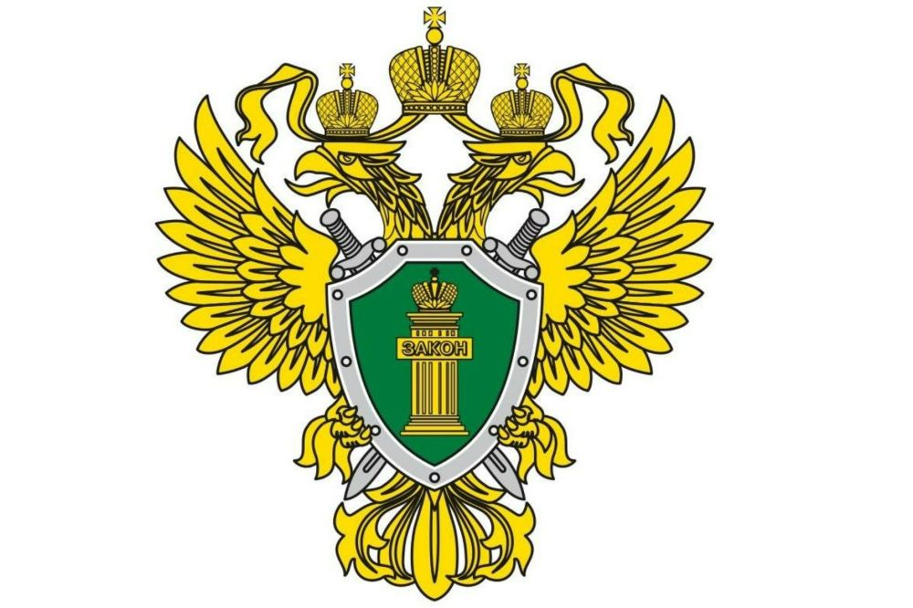       2023 