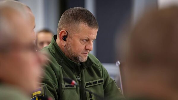 ��� �� ����� �������� 23 ������ �������� � �����