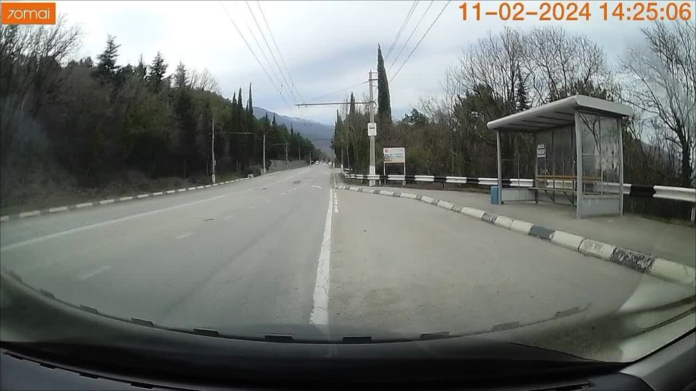 Самоубийца за рулем кроссовера в Крыму попал на видео
