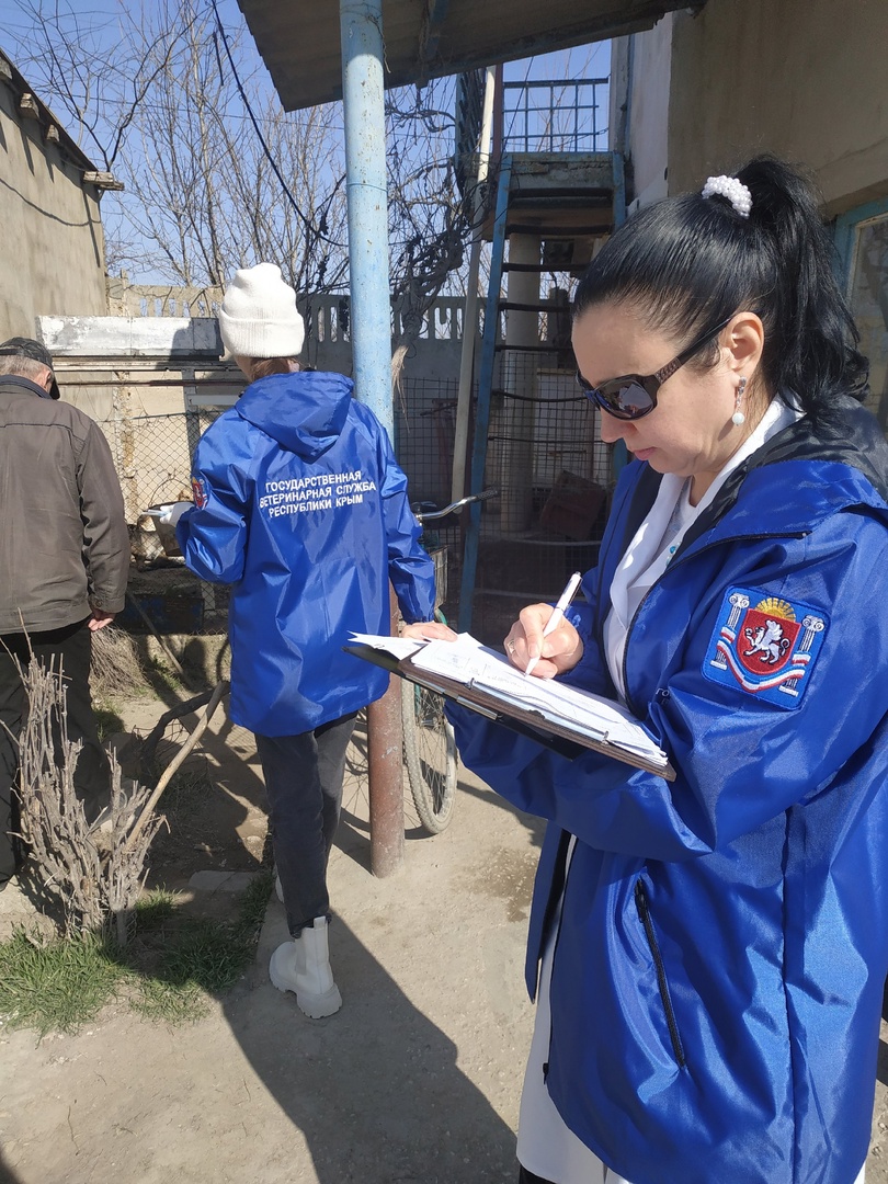 Специалисты ГБУ РК «Евпаторийский городской ВЛПЦ» проводят выездные  вакцинации домашних собак и кошек против бешенства на территории городского  округа Евпатория и Черноморского района - Лента новостей Крыма