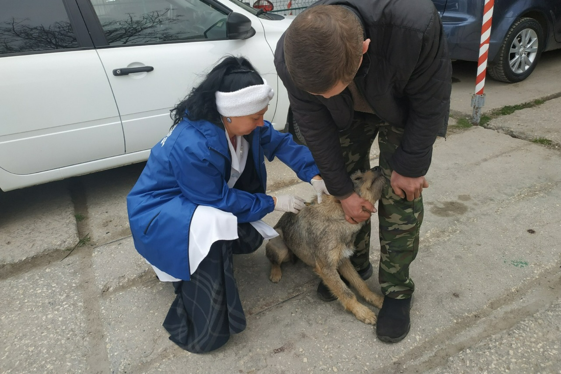 Специалисты ГБУ РК «Евпаторийский городской ВЛПЦ» проводят выездные  вакцинации домашних собак и кошек против бешенства на территории городского  округа Евпатория и Черноморского района - Лента новостей Крыма