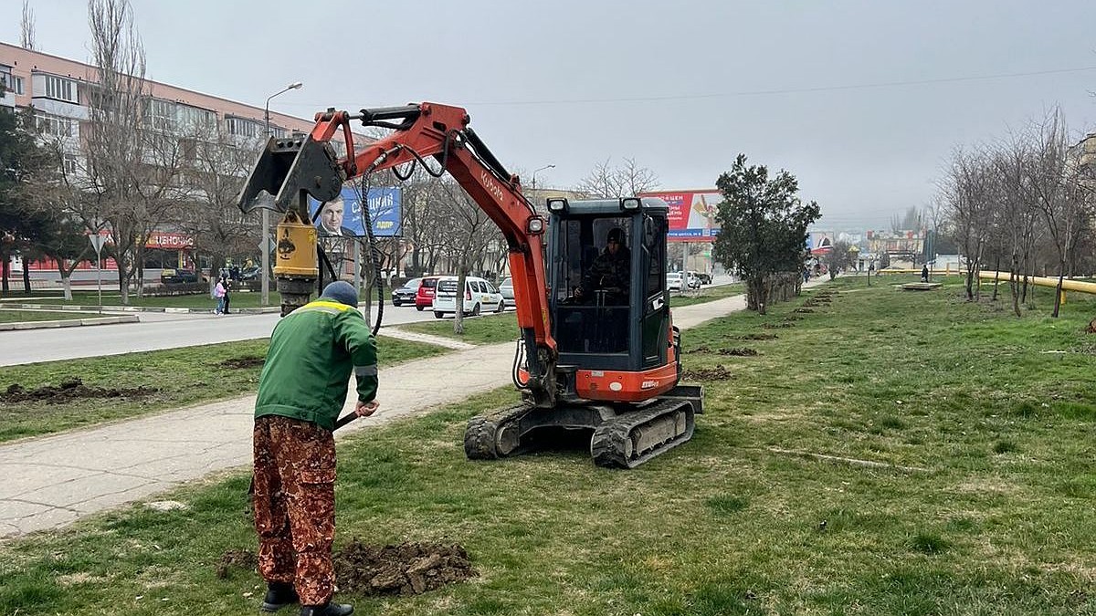 В Феодосии к десятилетию Крымской весны высадят более тысячи деревьев -  Лента новостей Крыма