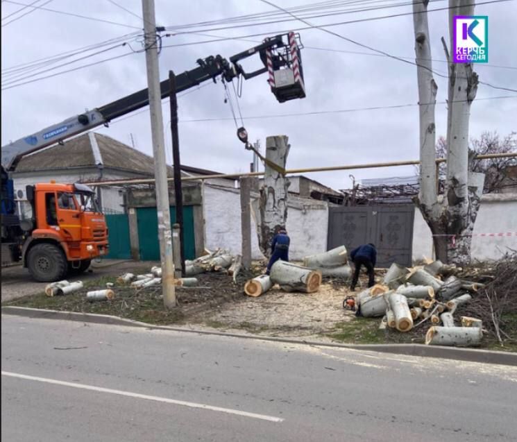 В Керчи продолжается работа по сносу и обрезке деревьев - Лента ...