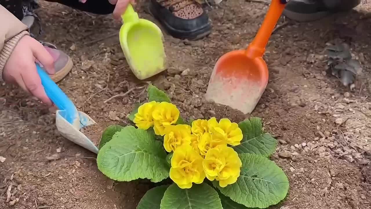 Нам в личные сообщения во Вконтакте прислали трогательное видео от учеников  1А, 4А и 9В классов школы №58, а также детского сада №131 - Лента новостей  Крыма