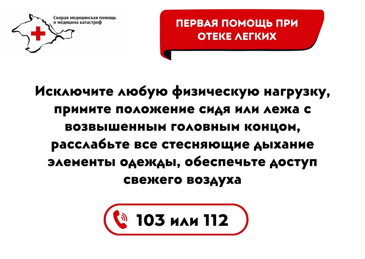 Умение оказать первую помощь — элементарный, но очень важный навык - Лента  новостей Крыма