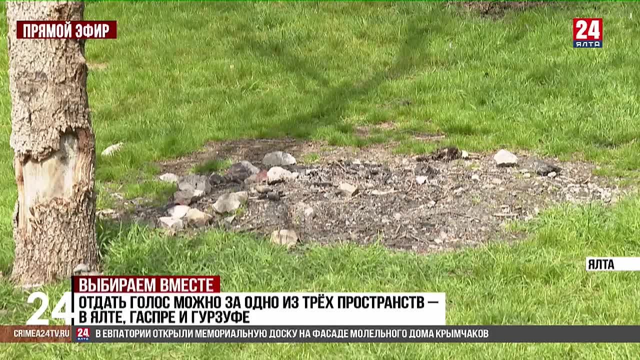 В голосовании за благоустройство Южного берега Крыма уже приняли участие  больше 5 тыс. человек - Лента новостей Крыма