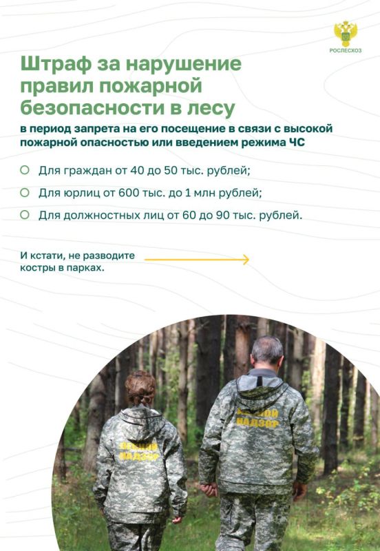 О правилах пожарной безопасности в лесах и ответственности смотрите в ...