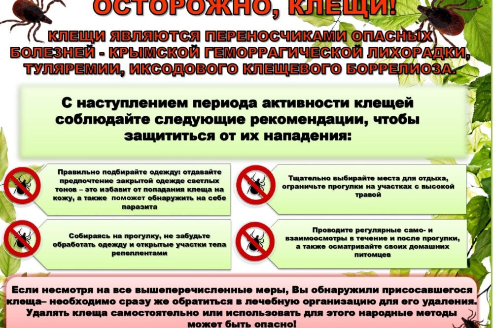 Активность клещей 2024. Осторожно клещи. Карта активности клещей. Профилактика заболеваний передаваемых клещами.