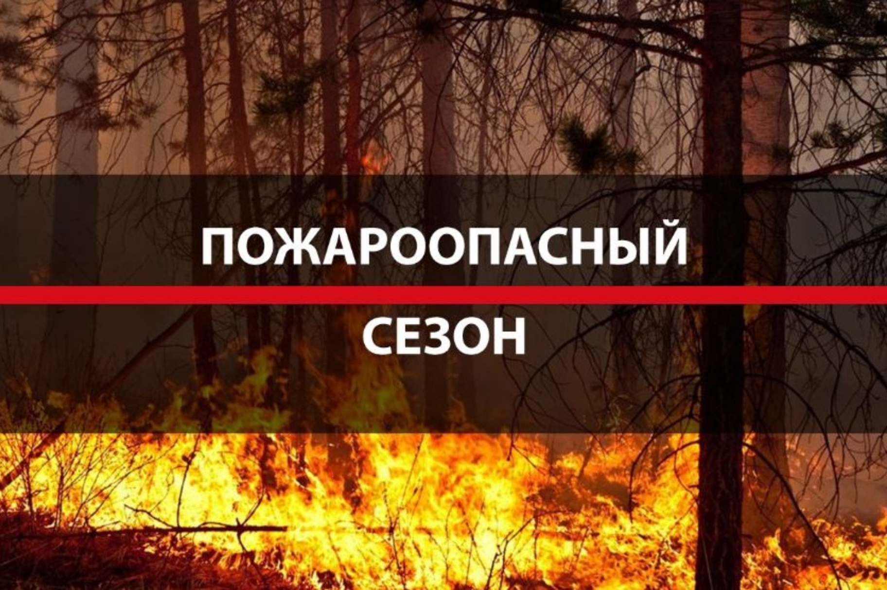 В Крыму действует пожароопасный сезон - Лента новостей Крыма