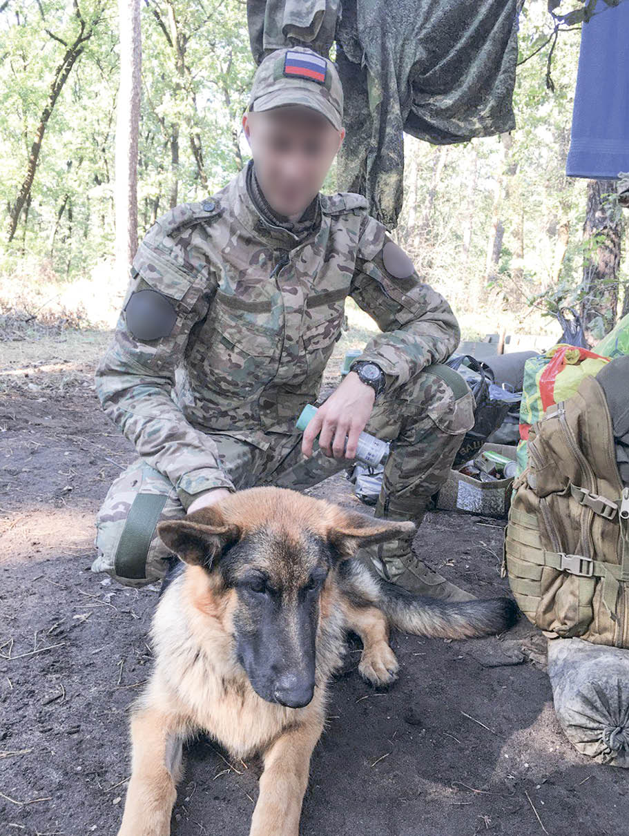 Руководство по дозору