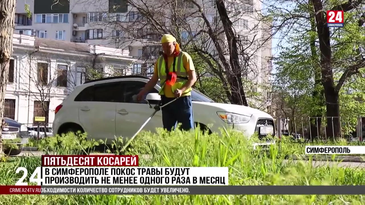 В Симферополе покос травы будут производить не менее одного раза в месяц -  Лента новостей Крыма