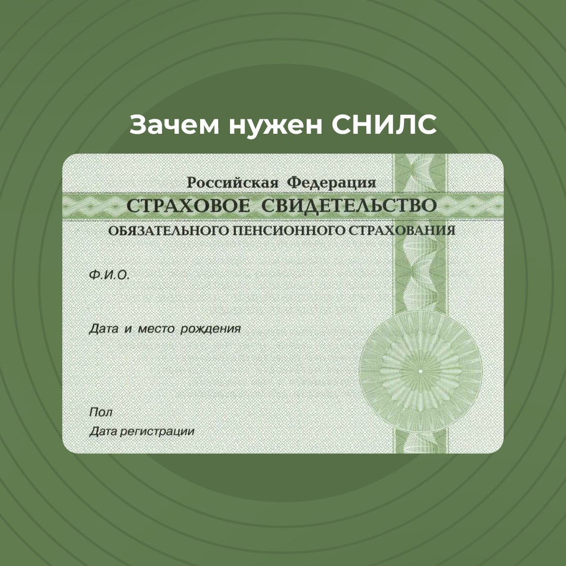 Что такое СНИЛС и для чего нужен этот документ? - Лента новостей Крыма