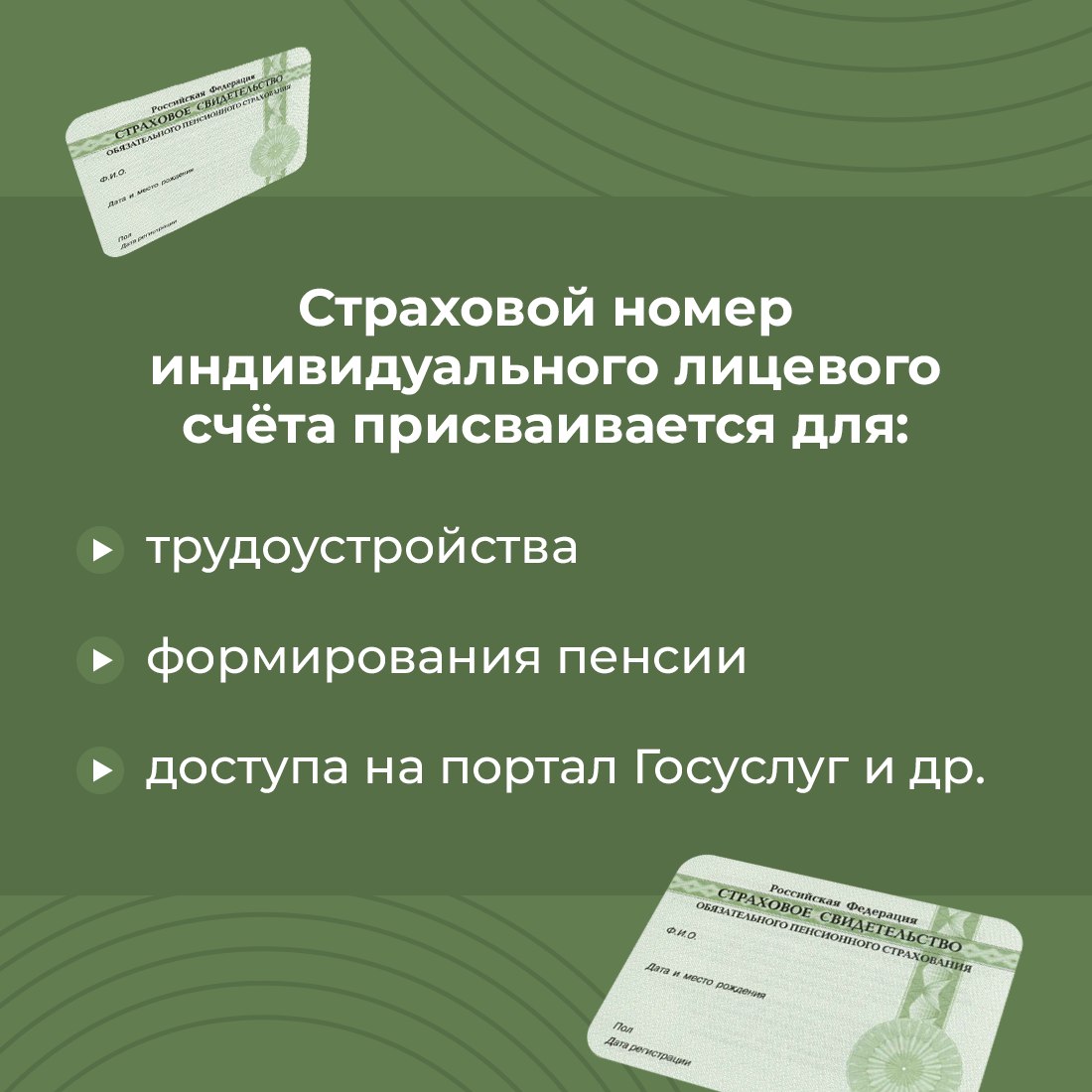 Что такое СНИЛС и для чего нужен этот документ? - Лента новостей Крыма