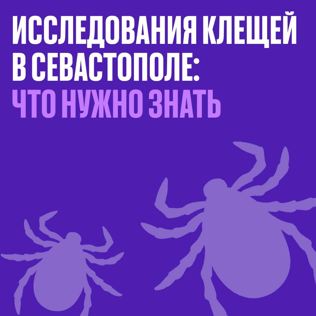 Михаил Развожаев: В Севастополе начали работать две лаборатории, где делают  исследования клещей - Лента новостей Крыма