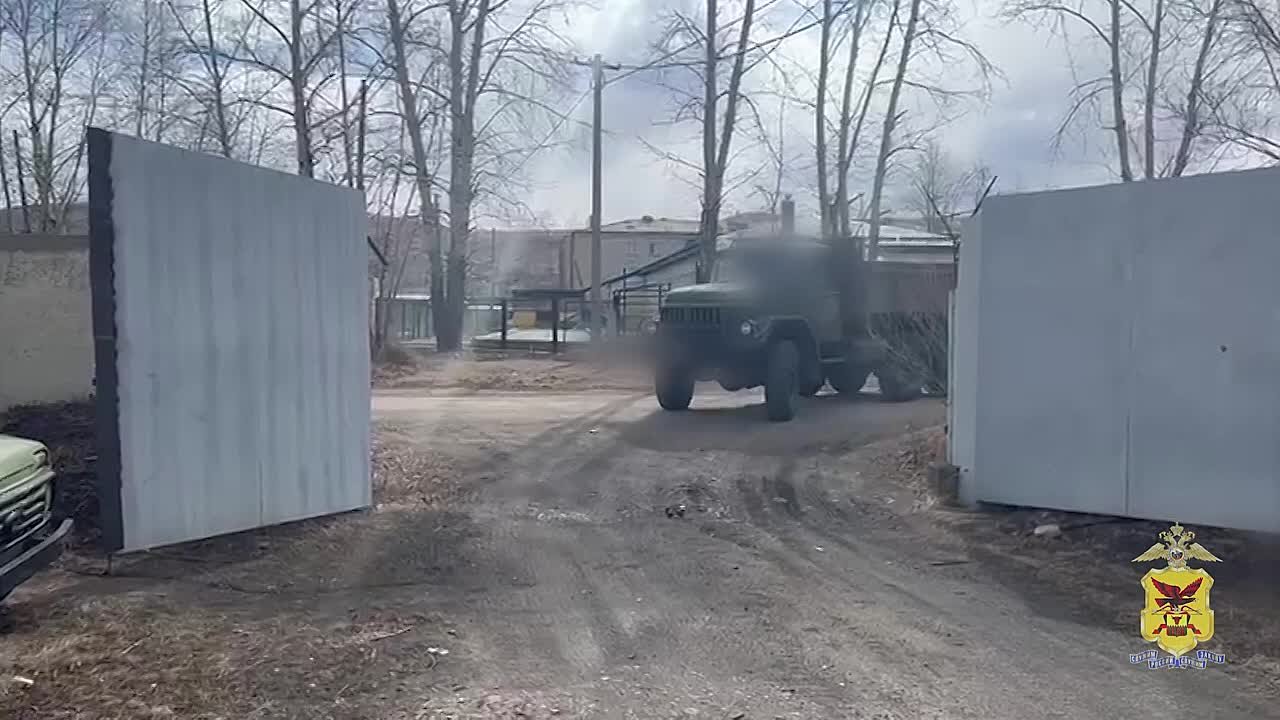 В Забайкальском крае полицейские установили «чёрных лесорубов», нелегально  спиливших свыше 350 деревьев - Лента новостей Крыма