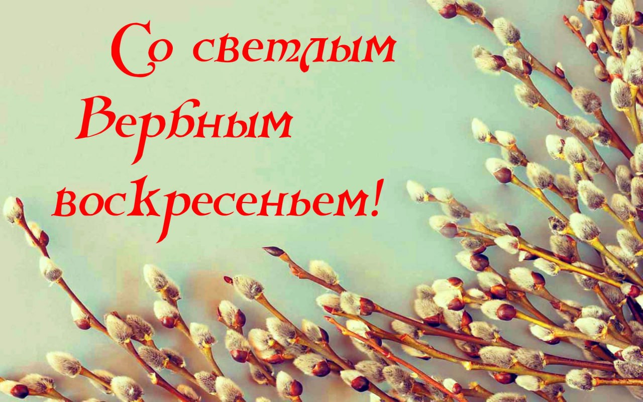 Николай Лукашенко: Дорогие друзья! Поздравляю вас со светлым праздником  Вербное воскресенье! Пусть все печали и невзгоды уйдут, а счастье и радость всегда  будут в вашем доме - Лента новостей Крыма