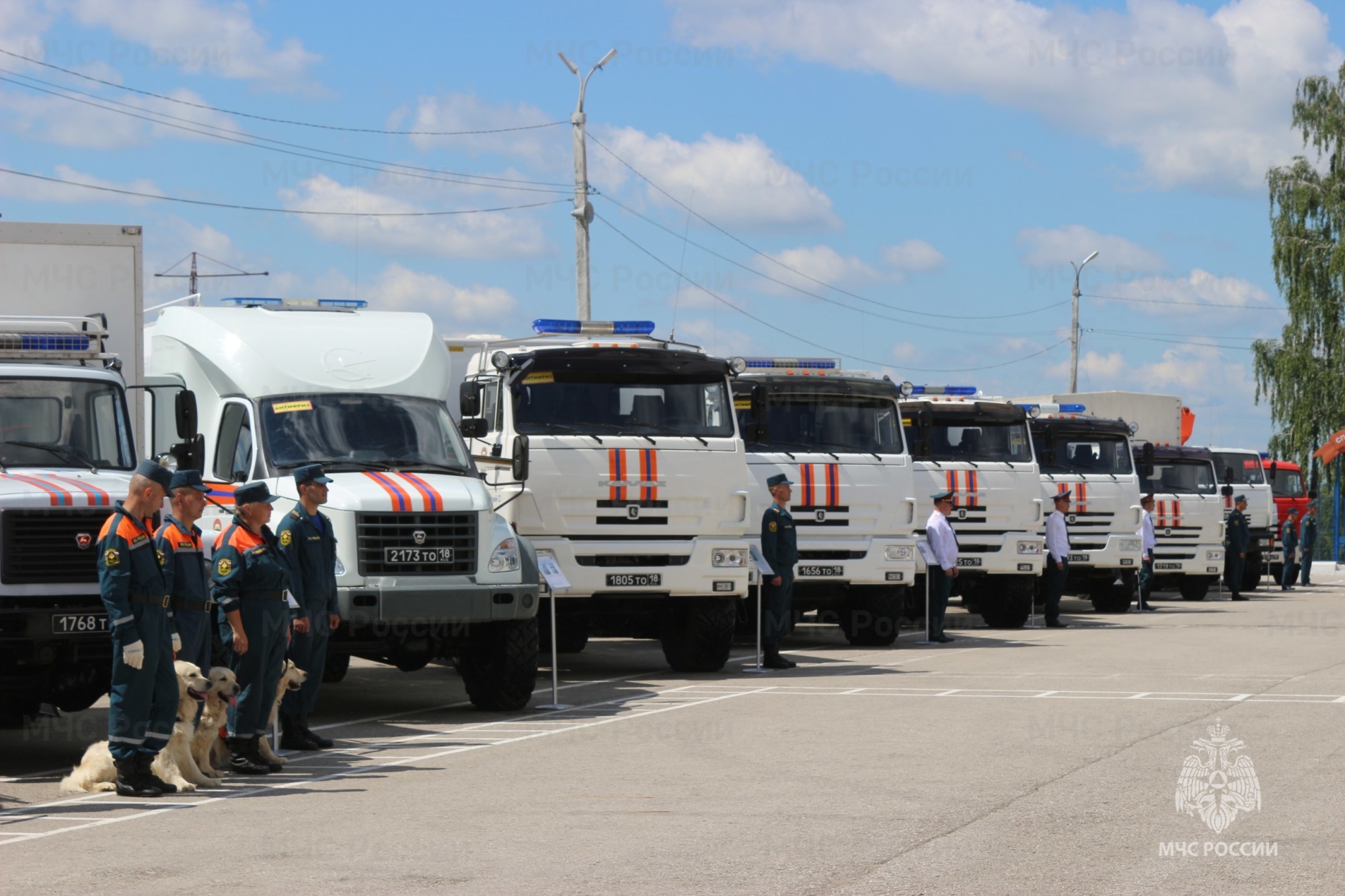 Специалисты Тульского спасательного центра МЧС России за год ликвидировали  более 300 происшествий и аварий - Лента новостей Крыма