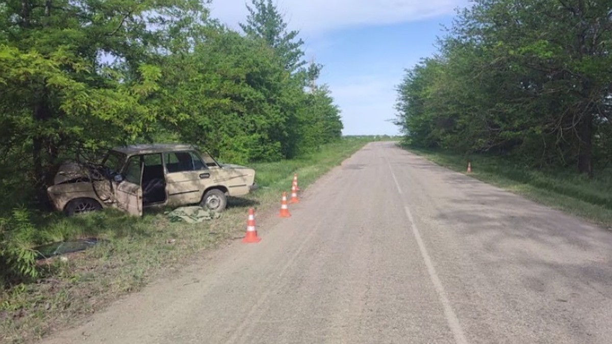 В Красногвардейском районе «шестерка» врезалась в дерево: погибли два  человека - Лента новостей Крыма