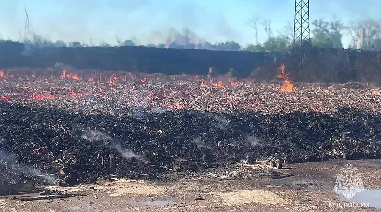 Видео с места тушения пожара в селе Жемчужина Нижнегорского района - Лента  новостей Крыма