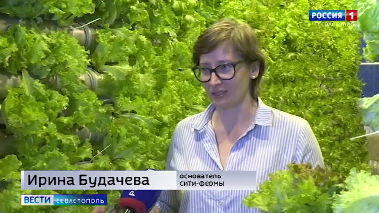 В Севастополе в молодёжном технопарке «Агротех» проводят уроки по  «Сити-фермерству» - Лента новостей Крыма