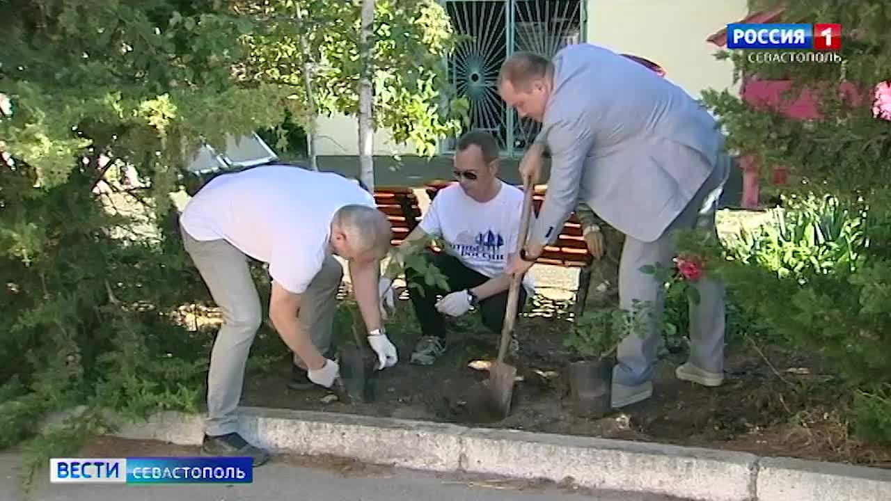 Накануне Дня защиты детей территорию севастопольского Дома ребёнка украсили  саженцами роз - Лента новостей Крыма