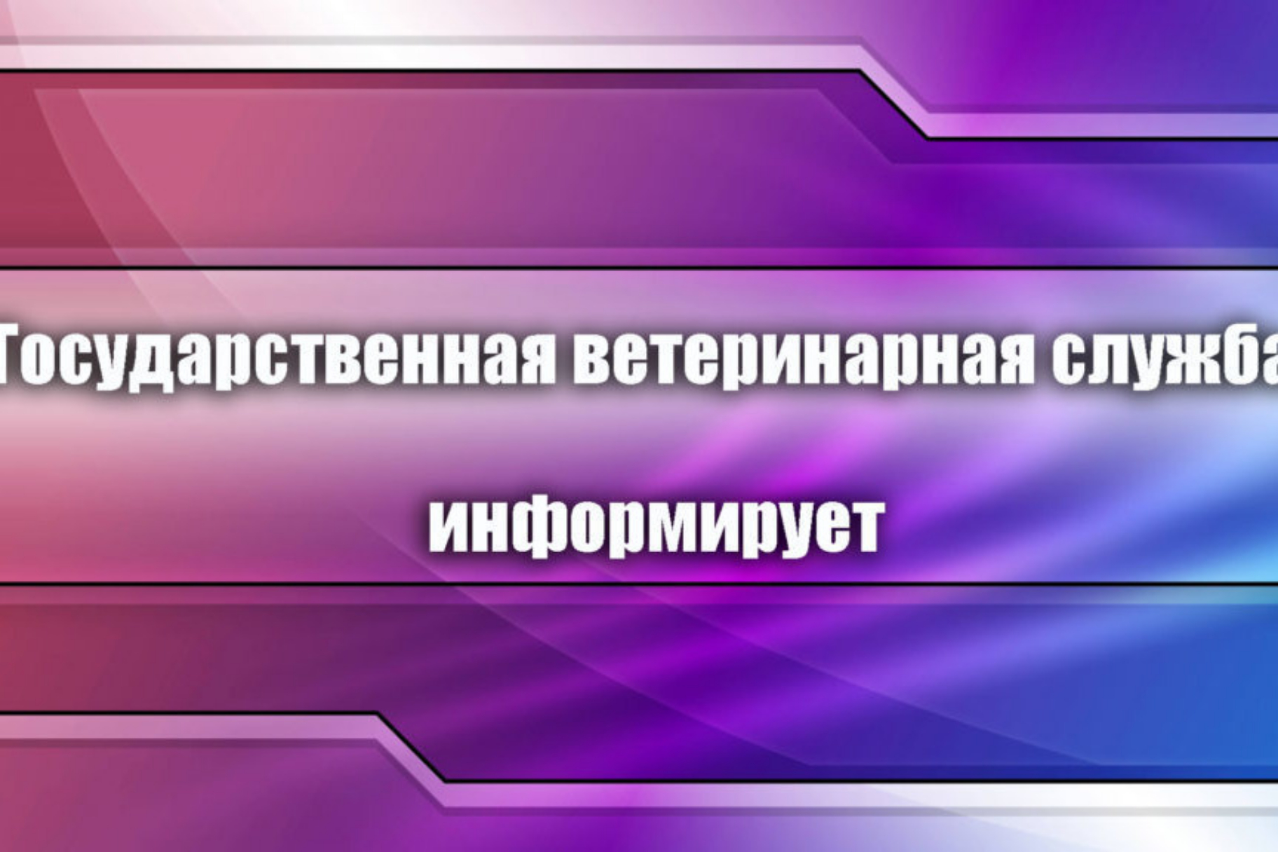 Внимание гражданам и владельцам животных Черноморского района Республики  Крым! - Лента новостей Крыма