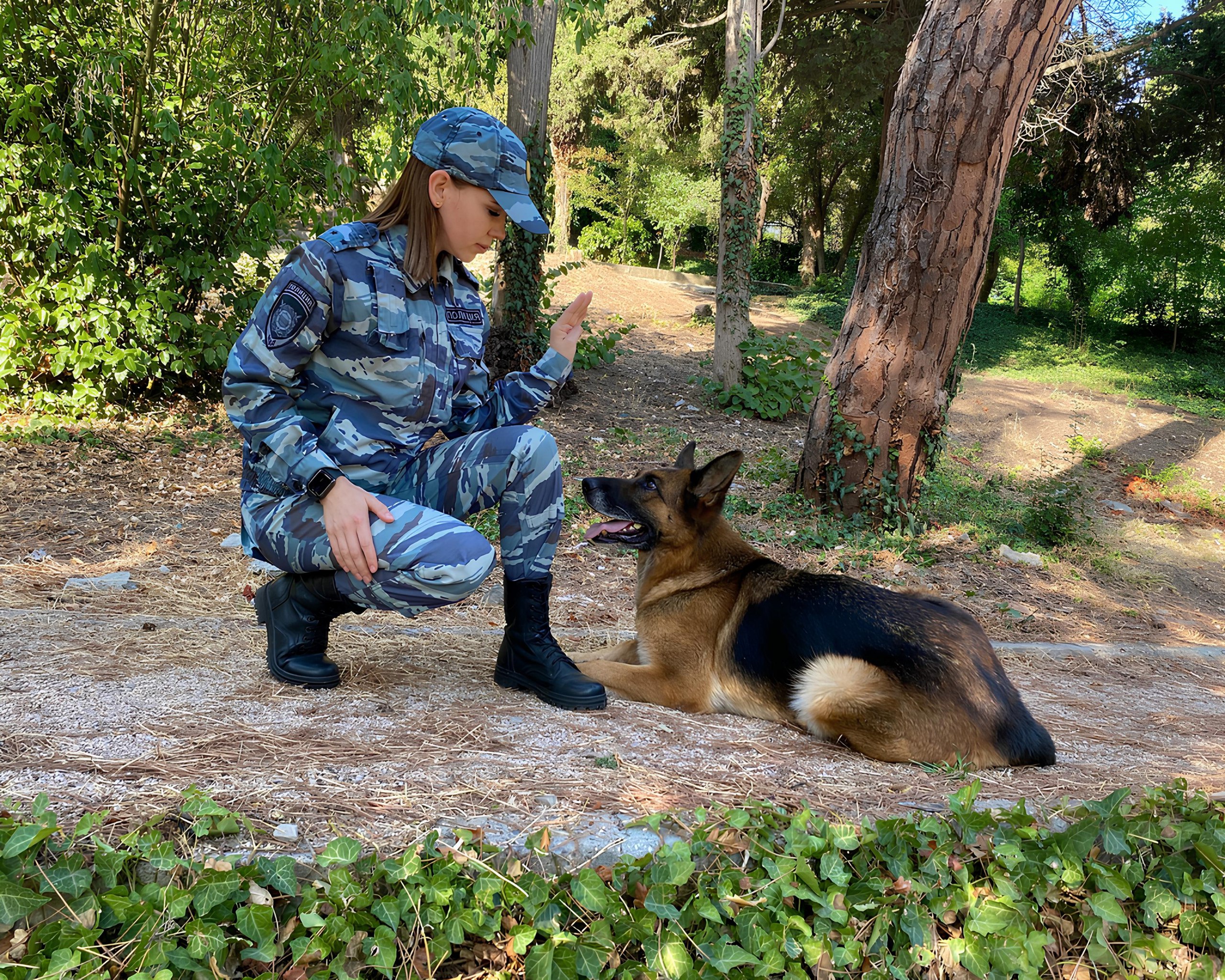 Алуштинский кинолог рассказала об особенностях розыска людей - Лента  новостей Крыма