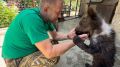 Ест малину и забивается в угол: в Тайган привезли истощенного медвежонка, который сидел на цепи в Сакском районе