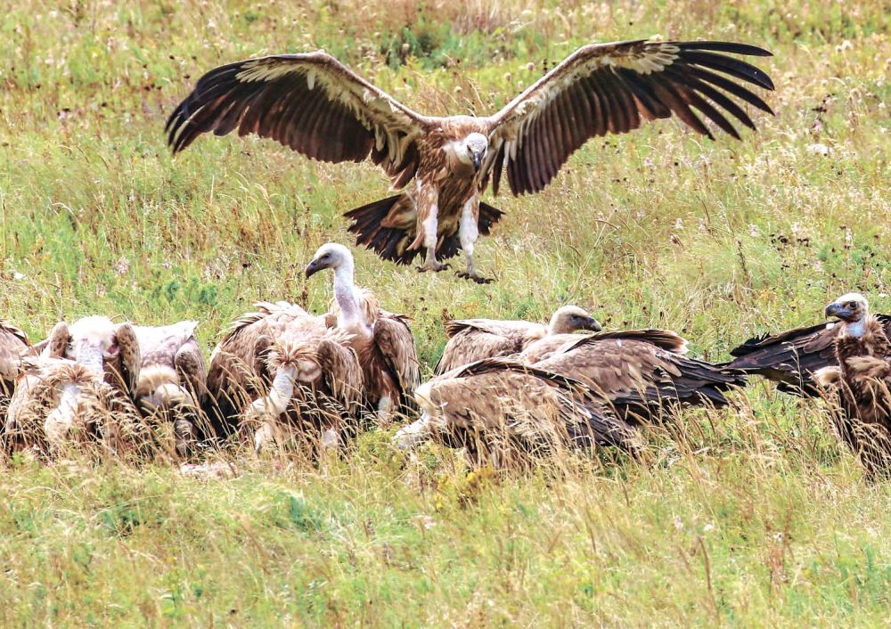 ��� � ����� ������� ����������� ��� ������� ������������ ����