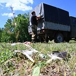 ��� � ����� ������� ����������� ��� ������� ������������ ����