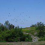 ��� � ����� ������� ����������� ��� ������� ������������ ����