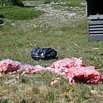 ��� � ����� ������� ����������� ��� ������� ������������ ����