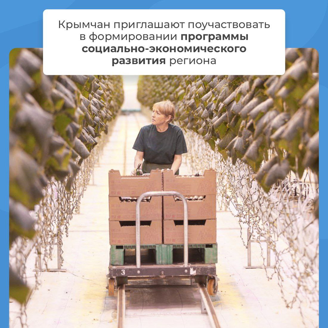 Инна Федоренко: В Крыму разрабатывается программа социально-экономического  развития до 2036 года - Лента новостей Крыма