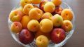 Вкусные абрикосы по заоблачной цене: Как туристов обманывают на трассе