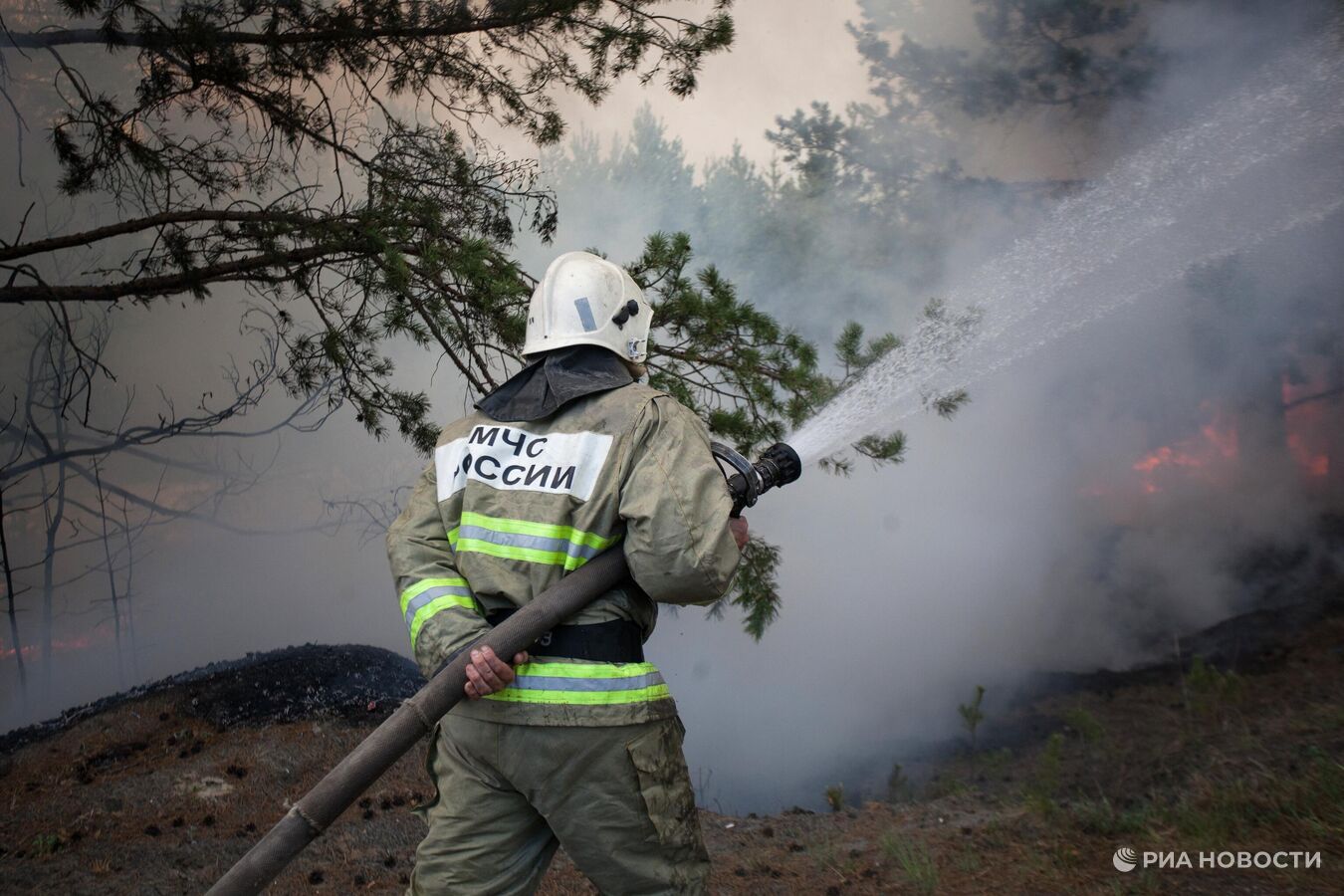 МЧС: в Алуште ликвидировали горение лесной подстилки на 4,2 тысячи  