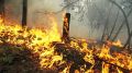 Серьезный пожар в Крыму: под Алуштой горит газораспредлитель, огонь перекинулся на лес