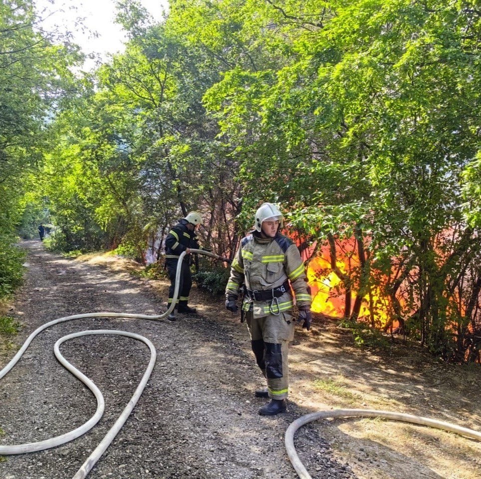 Ялтинцы помогли спасти лес от огня - Лента новостей Крыма