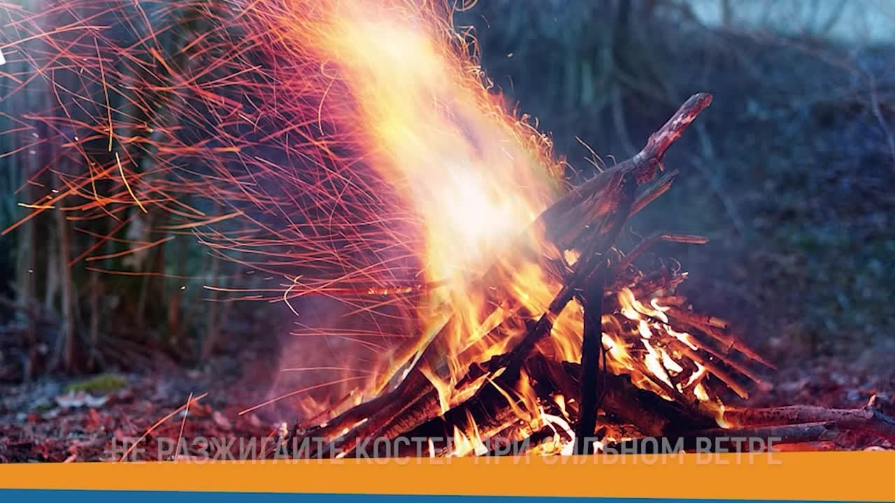 Совет дня от МЧС — не разжигайте костёр при сильном ветре - Лента новостей  Крыма