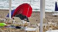 "Мы готовы вам мстить": эксперт о том, почему в США началась паника после удара по пляжу в Севастополе