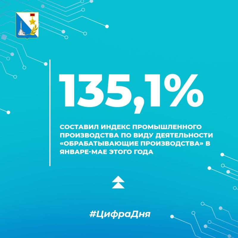  :          - 2024   135,1%