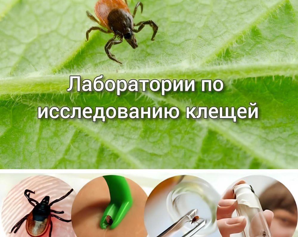                  1 . .....