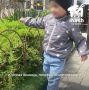 Двухлетний ребёнок в Симферополе впал в кому