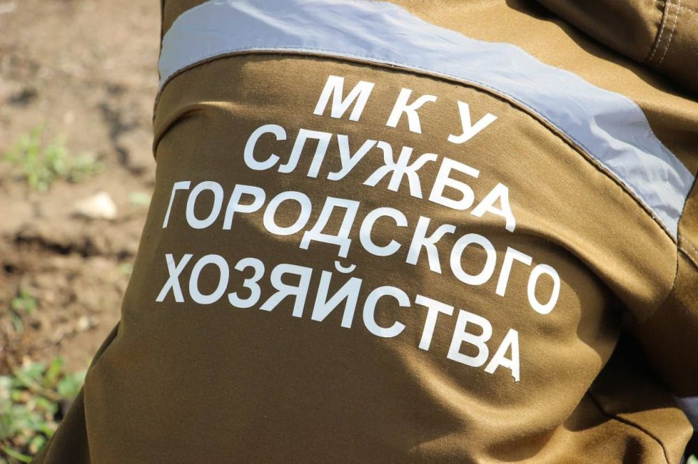  : #.        -  12 ;