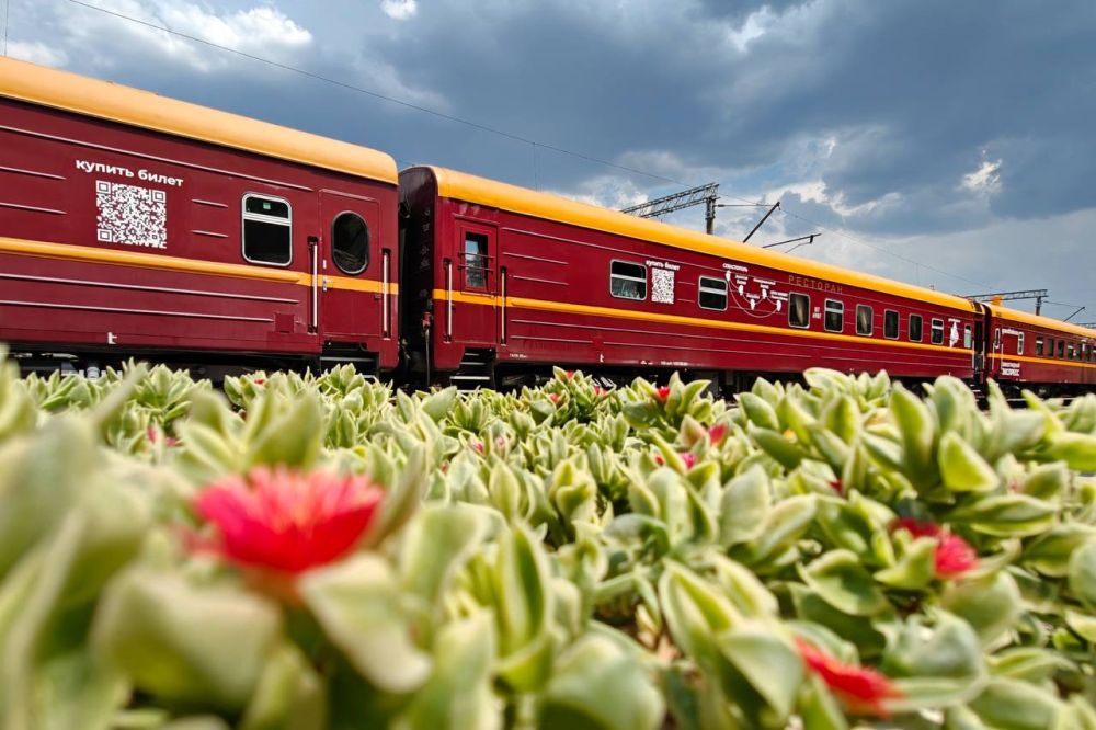 Гранд Сервис Экспресс Купить