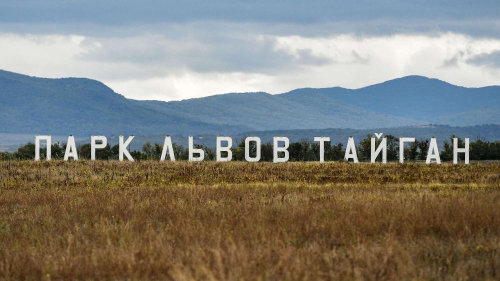 Трагедия в сафари-парке и встреча ураганов: топ новостей недели