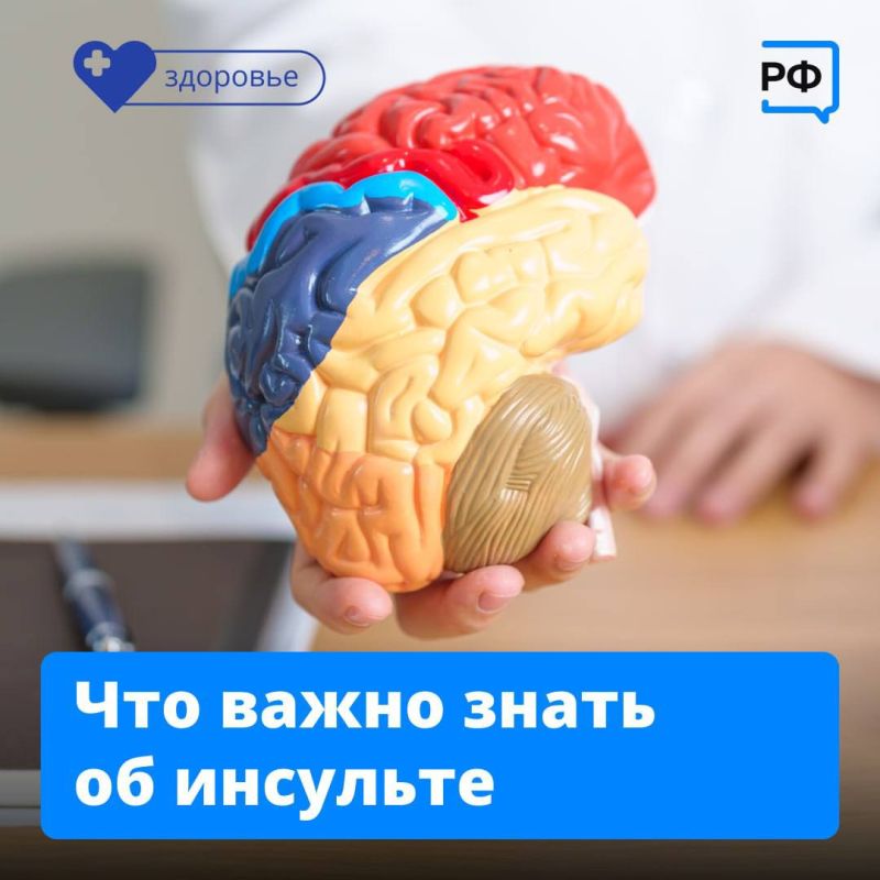  :    ,    