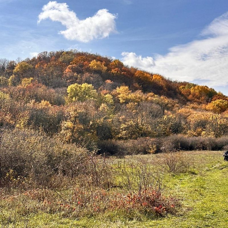 ����������� �������� �������� � ��������� �������� ����� �������� ������� ��������������� �������-�������������� ������� �������������� ������� ������������ ������